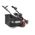 CEDWR01_05.jpg