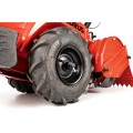CEDRUSGL03PRO-BS_11.jpg